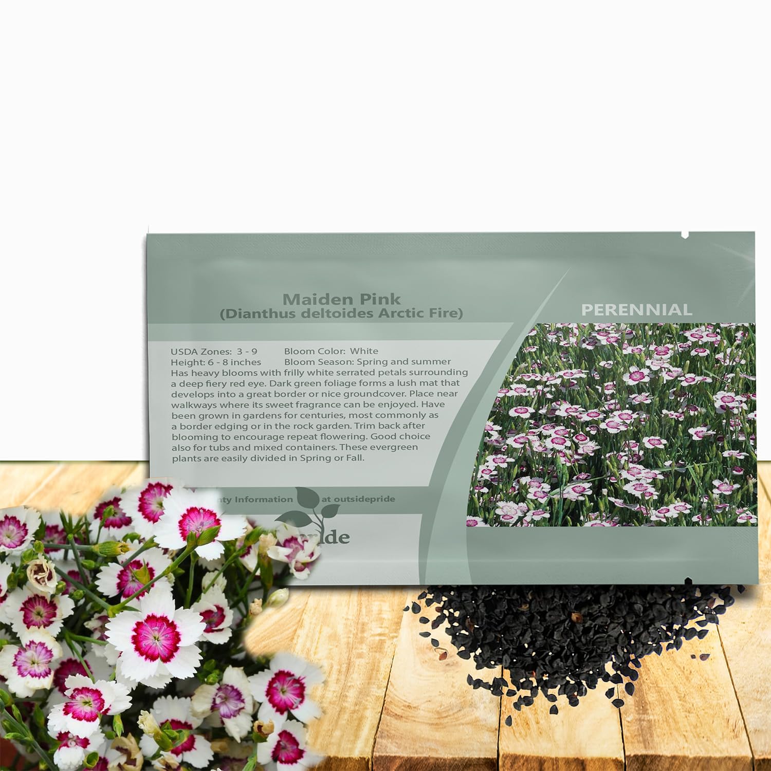 Amazon.com : Outsidepride Deltoides Arctic Fire Dianthus Seeds for